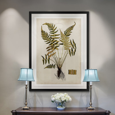 " Fern Botanical IV "
