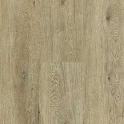 Natures Vision 8.03'' W x 47.6'' L x 12'' Oak Laminate Flooring