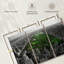 Impression sur toile Central Park Pop-1216654466