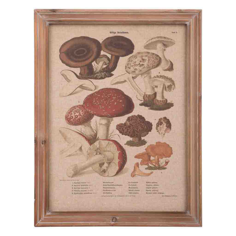 Single Picture Frame Print
