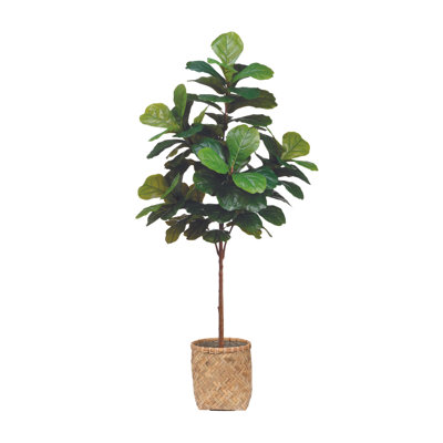 6' Fiddle Leaf Tree with Bamboo Planter