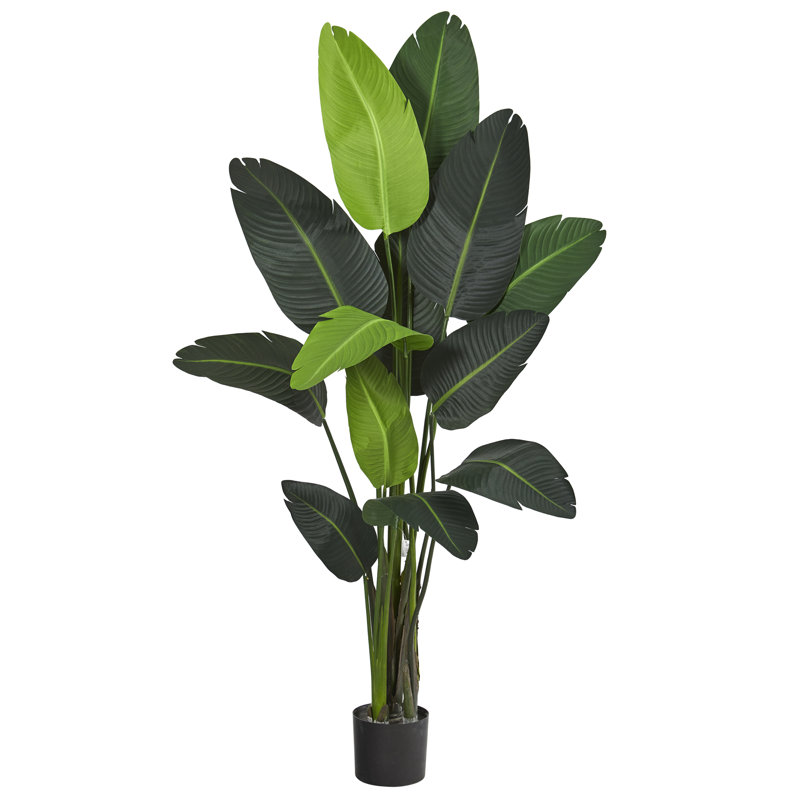 Faux Banana Leaf Tree in Pot Liner, 69" H x 32" W x 26" D