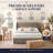 Modern Curved Wingback Velvet Upholstered Platform Bed with Gas Lift Storage, King, Brown-652613406-646257340