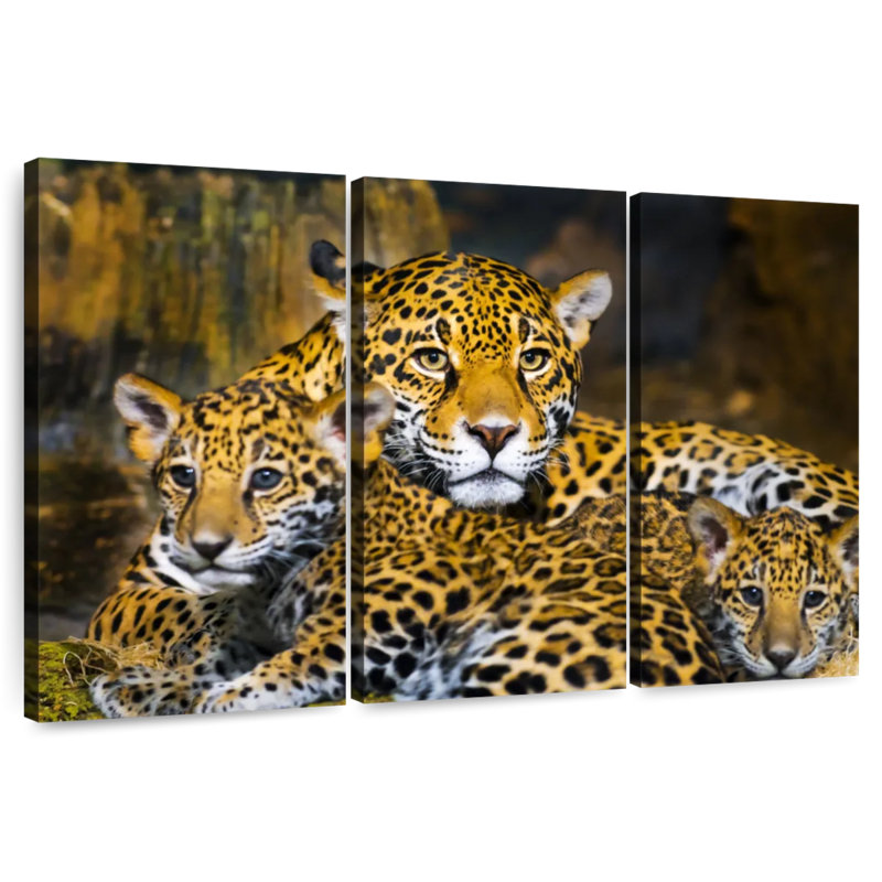 Bébé Jaguar, H 32 po x l 50 po