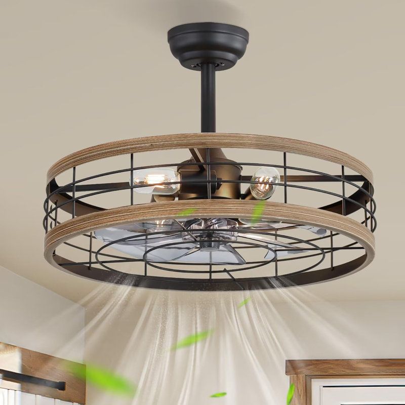 Ventilateurs de plafond 22 pouces avec lumières et télécommande Fandelier, Naturel, 22 po de largeur