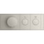 Anthem Two-Outlet Thermostatic Valve Control Panel With Recessed Push Buttons