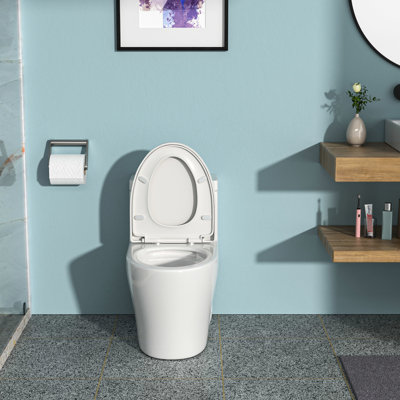 Toilette en céramique avec bol à jupe et siège paisible à 360 degrés de nettoyage