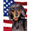 2 côtés en polyester de 2 côtés american drapeau de jardin-1288238496