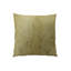 Coussin Leaf Leaf-16243779