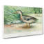A Mallard Duck by J.L. Ridgway - Wrapped Canvas Painting-55368272