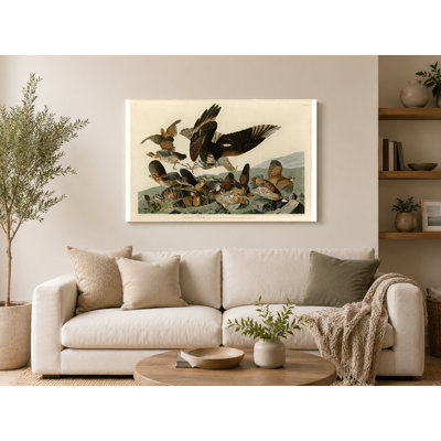 Perdrix de Virginie, plaque Lxxvi (1827) - oiseau, art mural sur toile