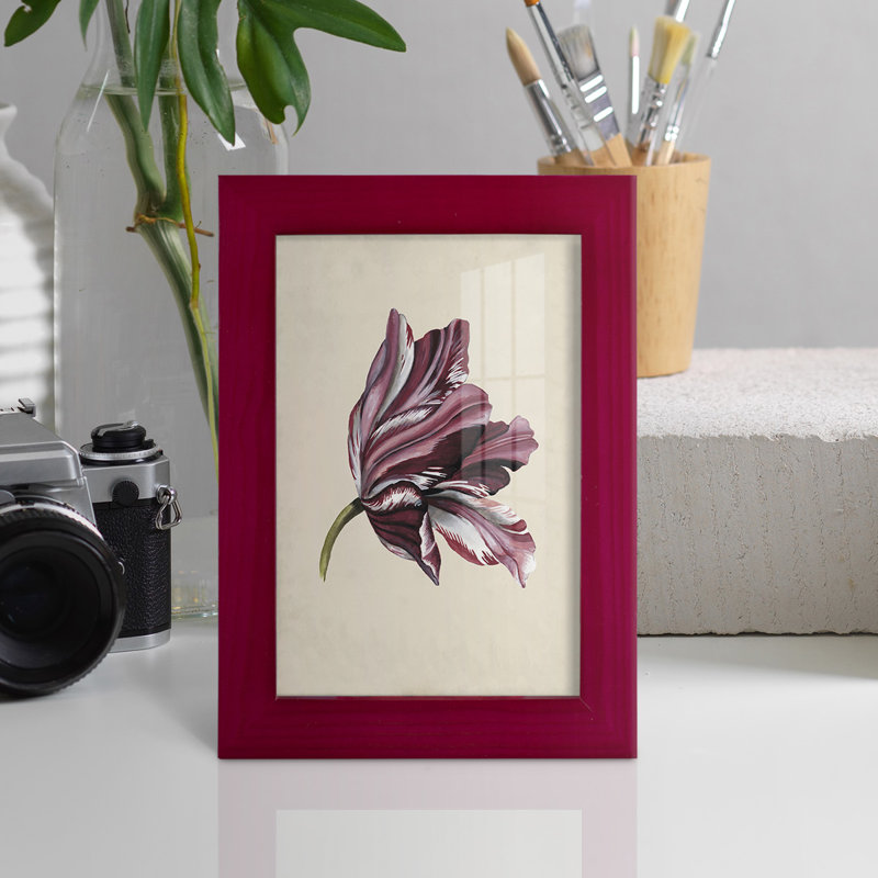 Antique Tulip Study III - Impression encadrée avec verre, Rouge, H 6 po x l 4 po x P 1 po