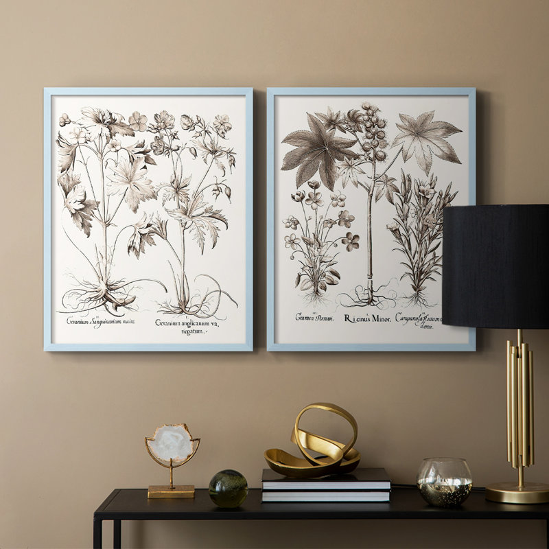 Impression encadrée sépia Besler Botanicals V-Premium - prête à être accrochée - aucun clou requis - aucun clou requis, Bleu