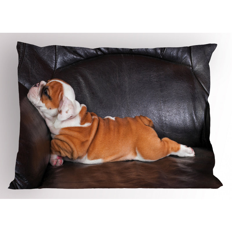 English Polyester Sham Set, Twin