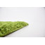 Tapis vert Torun-792322444