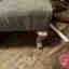 Customer photo 1 of 3