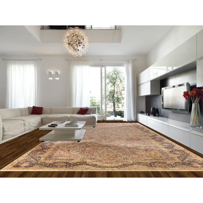 Vegetable Dye Antique Traditional Large Rug 13x25