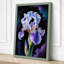 Iris in Shadow Botanical 1 Piece Wrapped Canvas Wall Art-1870410665-1870410679
