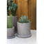 Lemont Pot Planter-2065673998