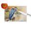 Blue Heron Glass Cutting Board Large