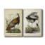 Toile tendue de qualité supérieure Audubon Wild Turquie - prête à être accrochée-796763526