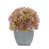 Lilas
