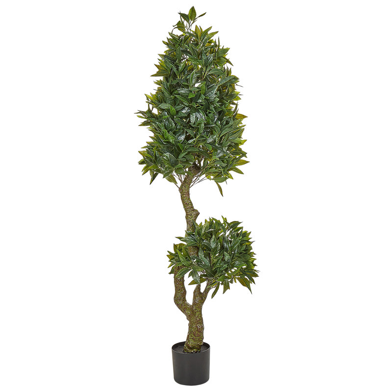 160 cm H Faux Tree Plant in Plastic / Acrylic Planter