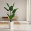 147cm Plant