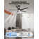 52" Emileo Ceiling Fan with LED Lights