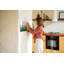 Magnetic Glass Dry Erase Board