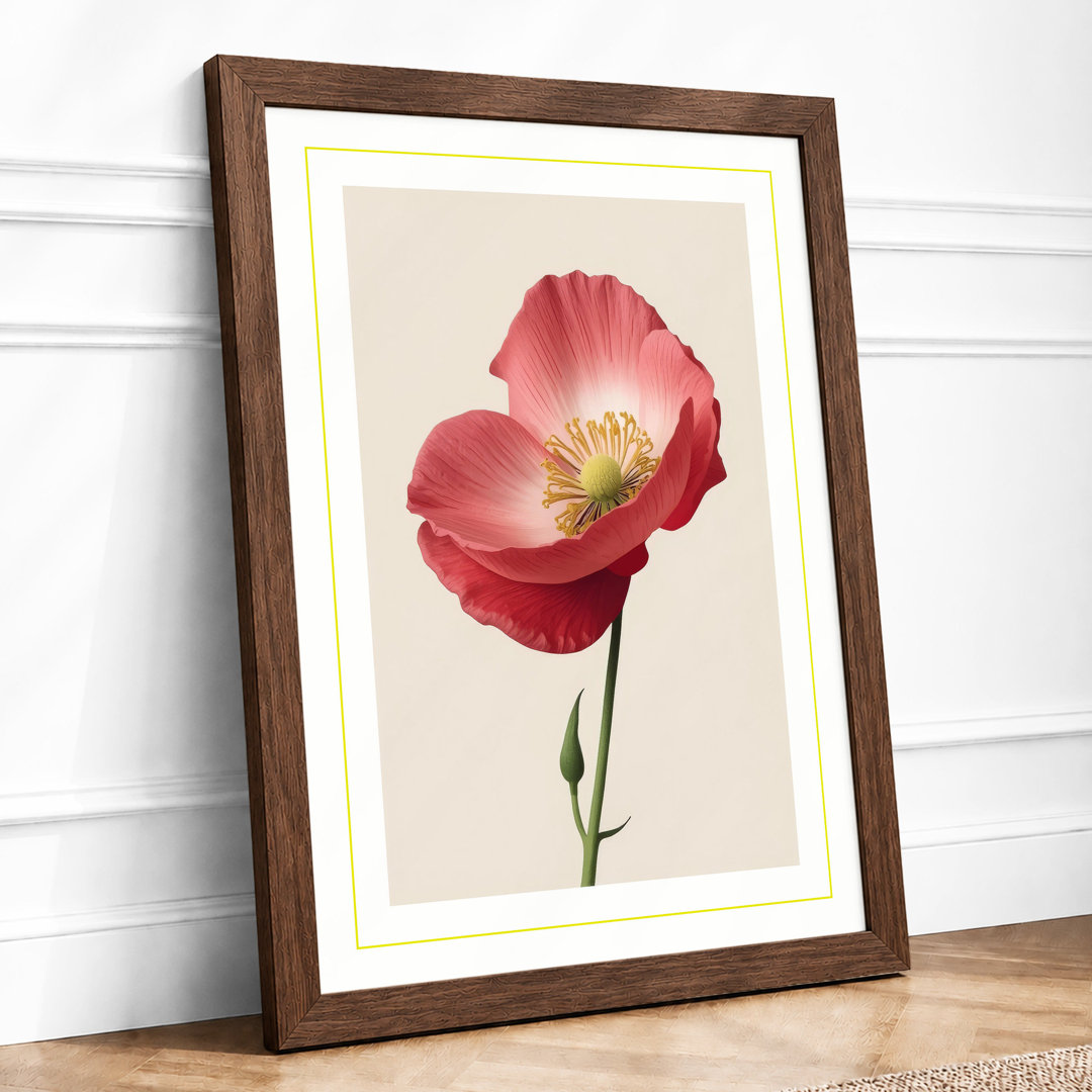 Single Poppy in Bloom Botanical - Framed Print