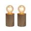 Ensemble de 2 lampes à piles Millwood Pines