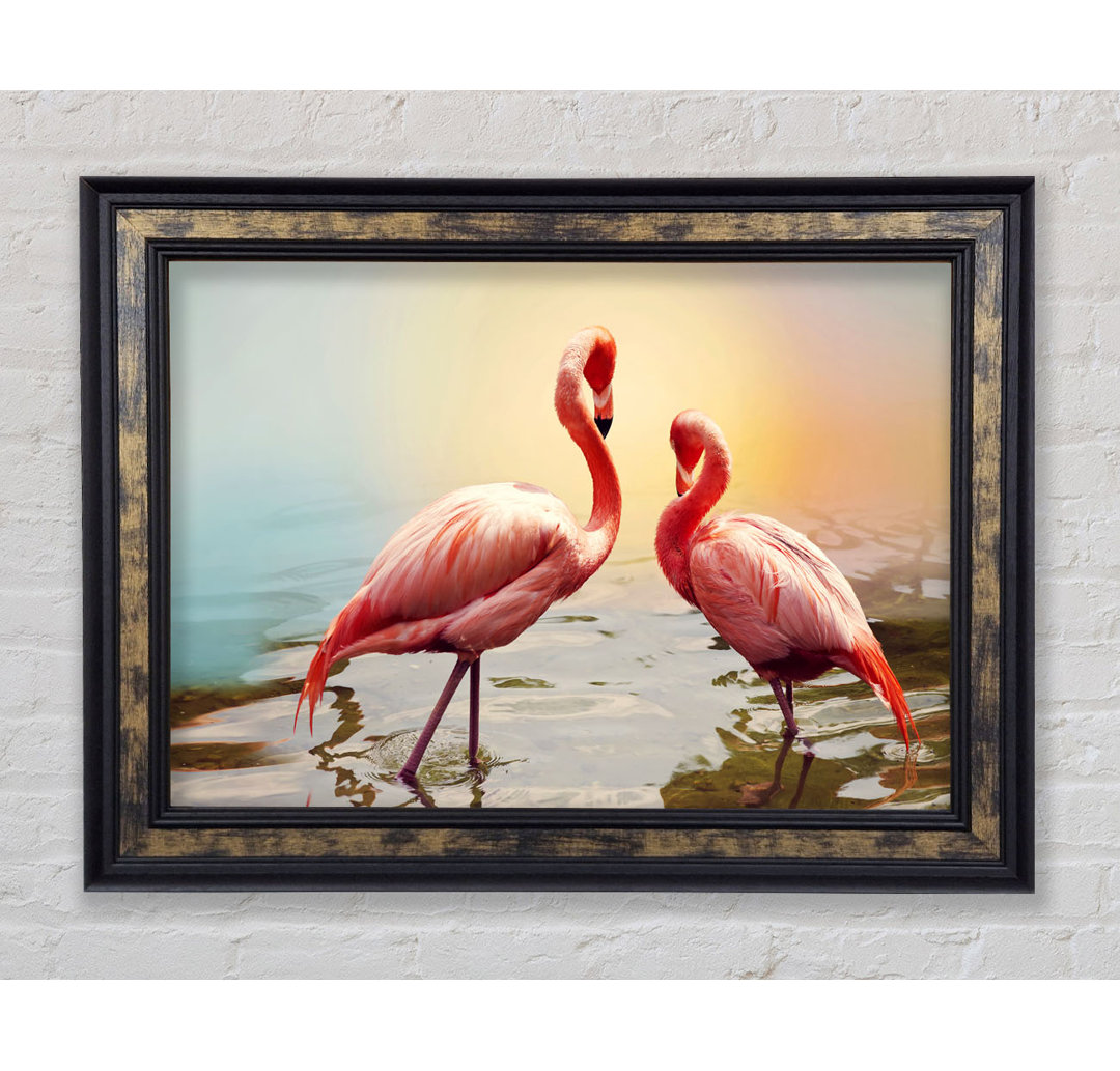 Flamingo Sonnenuntergang Gerahmter Druck