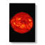 Giant Filament On The Sun - Wrapped Canvas-55366154