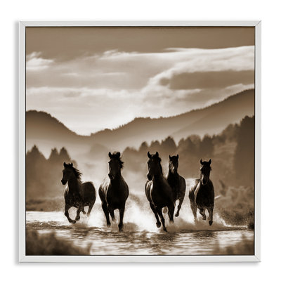 «Splashing Canyon Stallions», art de la giclée encadrée par Noah Bay