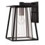 Walker 1-Light Outdoor Wall Lantern-631984395