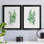 Eucalyptus I - Ensemble de 2 peintures sur toiles-1776738125-1776738126