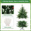 Lighted Artificial Pine Christmas Tree-366253112