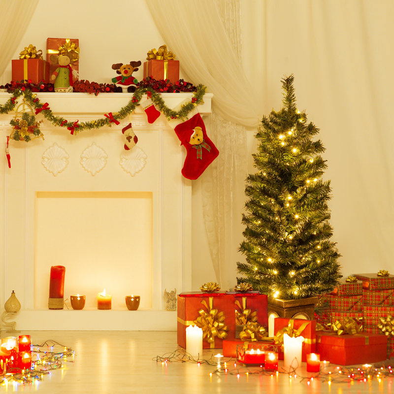 Lighted Christmas Tree