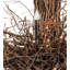 Basmah 6 - Light Chandelier