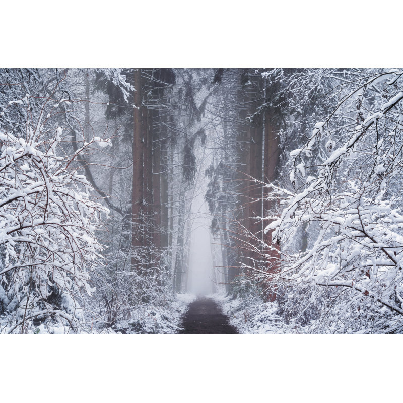 Vignette blanche 2886687, H 24 po x l 36 po, Non, Wrapped Canvas