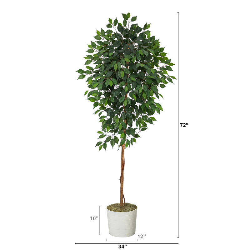 72'' Faux Ficus Tree in Metal Planter, White