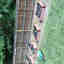 Photos des clients 1 de 1
