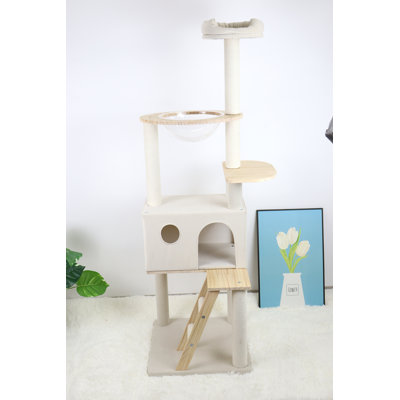 Arbre à chat en bois avec grande échelle en bois et vaisseau transparent 165 cm