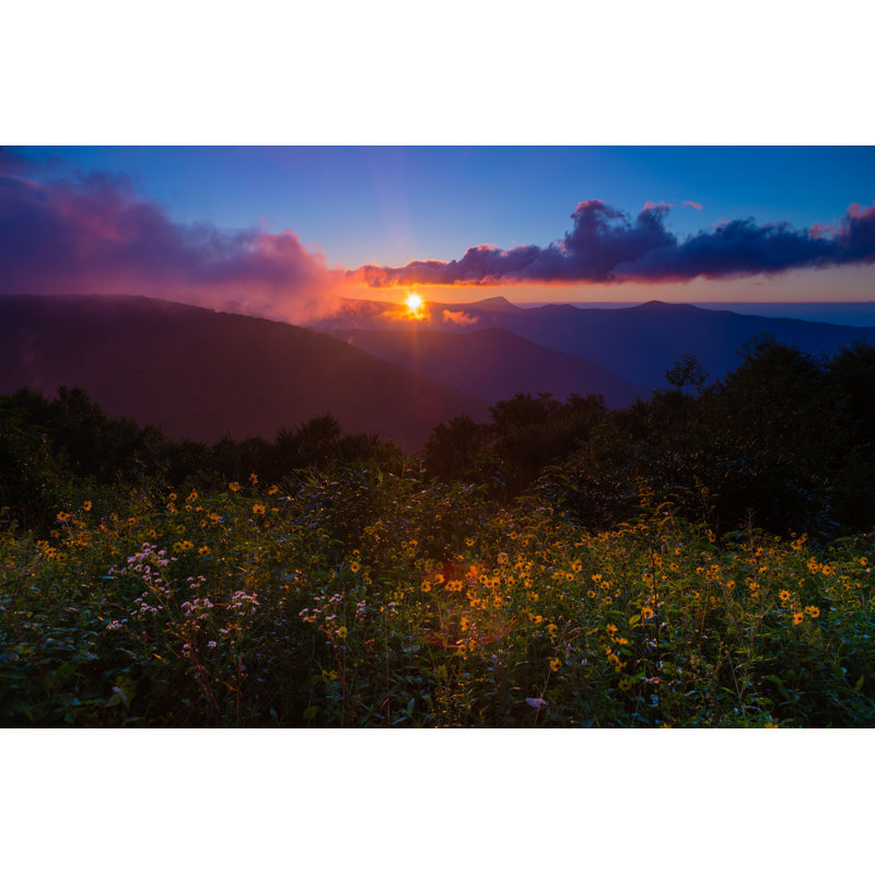 Wildflowers In Blue Ridge par - Photographie de toile tendue, H 24 po x l 36 po
