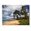 « kamaole tropical » par pierre leclerc,, reproduction de photo sur toile tendue encadrée-10612181