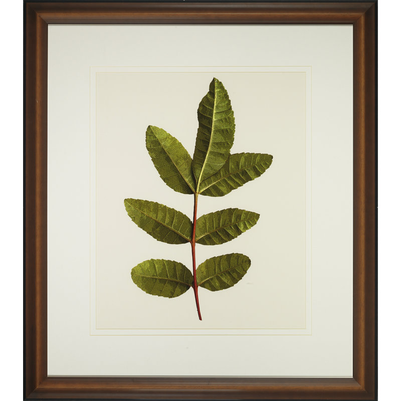 Une petite pièce de la nature V - peinture encadrée