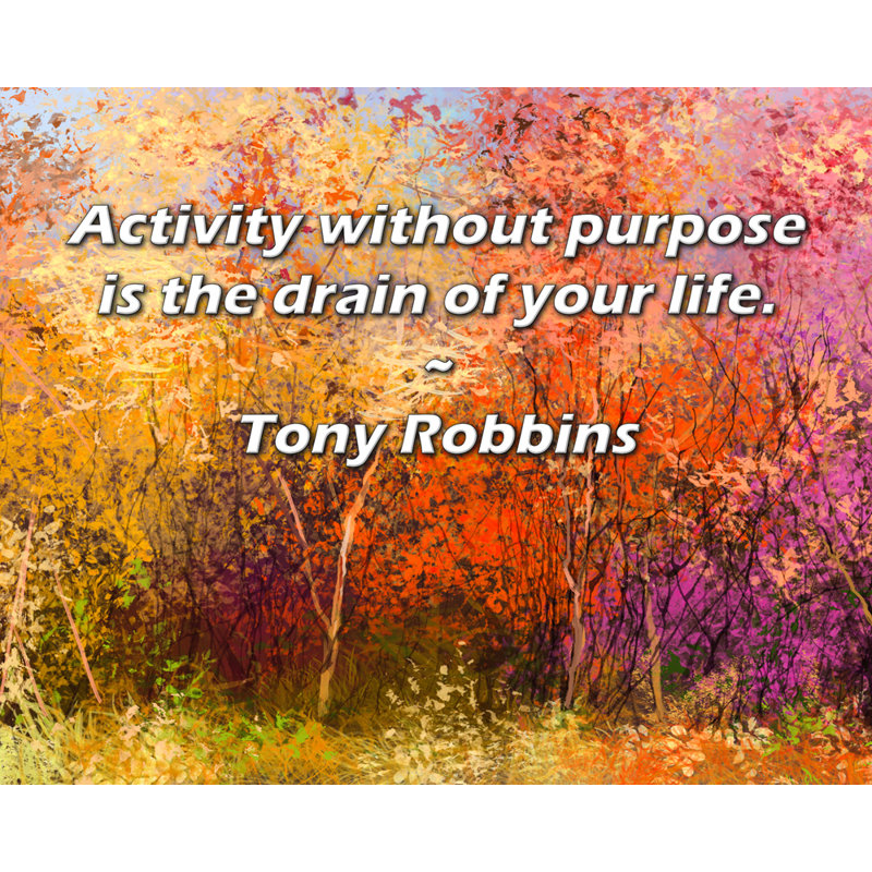 Toile tendue avec toile Trinx par Tony Robbins: «L'activité sans but est la bonde de votre, H 17 po x l 24 po