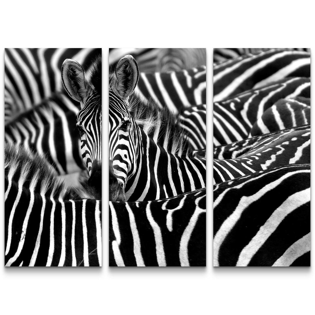 3-tlg. Leinwandbilder-Set Zebra in seiner Herde