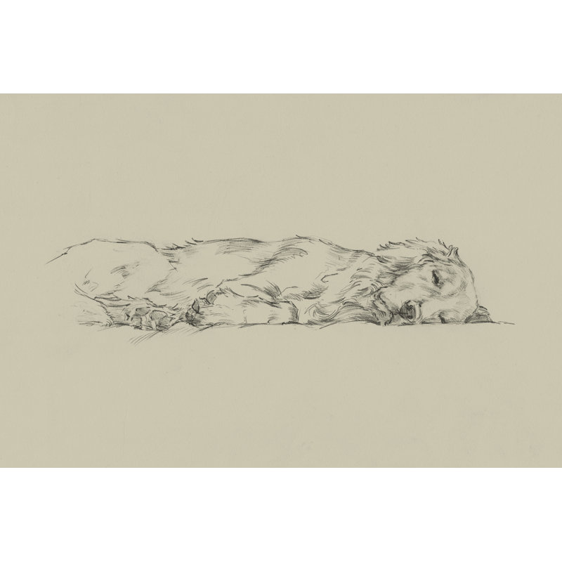 Golden Sketch IV by Ethan Harper - Wrapped Canvas Print, 81cm H x 122cm W x 3.8cm D